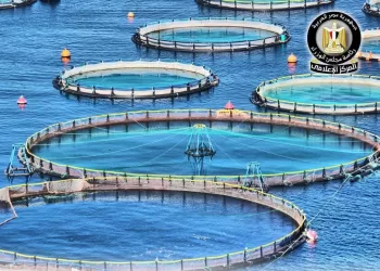 Pisciculture : Booster la production et accroître l’offre sur les marchés 
