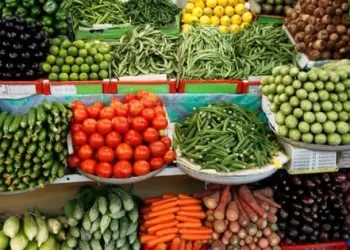Tomates : Baisse attendue des prix 5 - Le Progrès Egyptien Tomates : Baisse attendue des prix