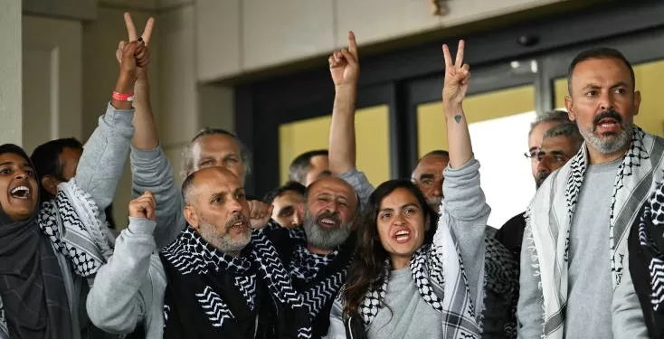 Flottille pour Gaza: Expulsés par Israël, les militants étrangers sont arrivés en Turquie 1 - Le Progrès Egyptien