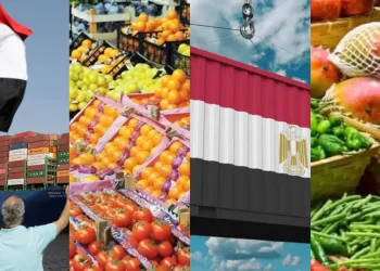 L'Égypte en passe de devenir un hub alimentaire mondial 4 - Le Progrès Egyptien L’Égypte en passe de devenir un hub alimentaire mondial