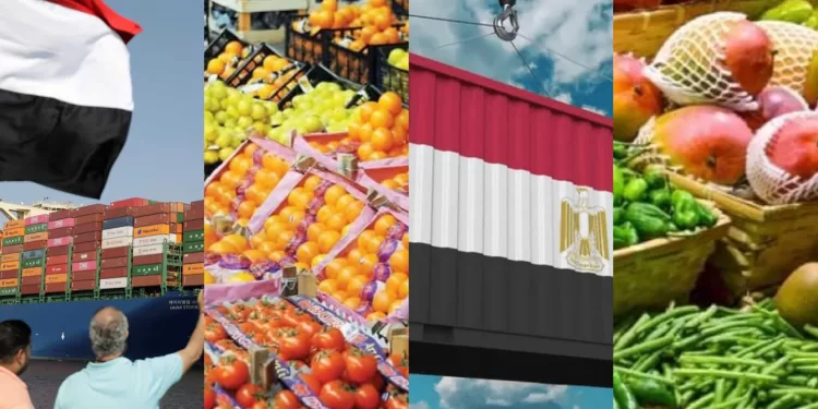 L'Égypte en passe de devenir un hub alimentaire mondial 2 - Le Progrès Egyptien L'Égypte en passe de devenir un hub alimentaire mondial 1 - Le Progrès Egyptien