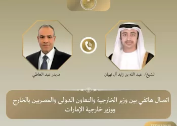 Entretien téléphonique entre les chefs de la diplomatie égyptienne et émiratie