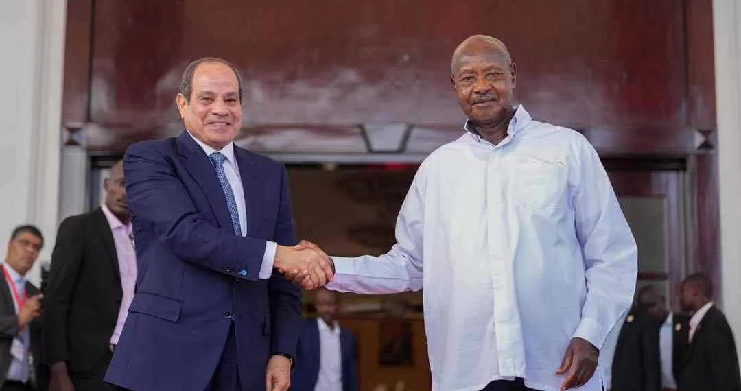 Le Progrès Egyptien 50 - Le Progrès Egyptien