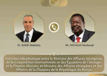 L’Égypte et le Kenya renforcent leur partenariat stratégique et leur coordination régionale
