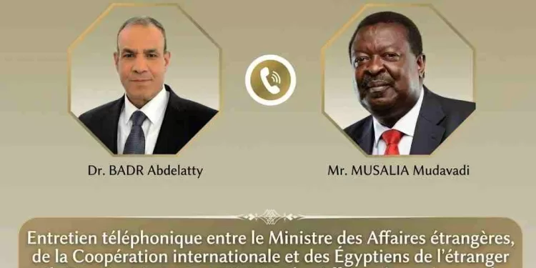 L’Égypte et le Kenya renforcent leur partenariat stratégique et leur coordination régionale 1 - Le Progrès Egyptien