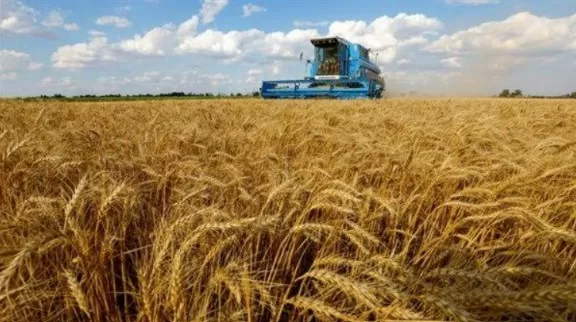L’Égypte dépasse les 3,2 millions de tonnes de blé collectées 2 - Le Progrès Egyptien L’Égypte dépasse les 3,2 millions de tonnes de blé collectées 1 - Le Progrès Egyptien