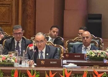 Abdel-Aati participe à la réunion des ministres des Affaires étrangères des BRICS