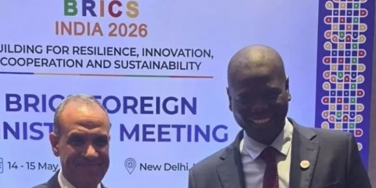 BRICS: Renforcer les relations avec l'Afrique du Sud 2 - Le Progrès Egyptien BRICS: Renforcer les relations avec l'Afrique du Sud 1 - Le Progrès Egyptien