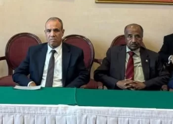 Forum d'affaires égypto-érythréen pour renforcer le partenariat économique 3 - Le Progrès Egyptien Forum d’affaires égypto-érythréen pour renforcer le partenariat économique