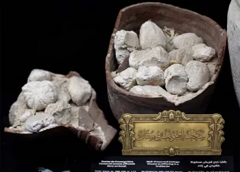 Saqqarah, bien plus qu’une pyramide : Un monde de trésors antiques 3 - Le Progrès Egyptien Saqqarah, bien plus qu’une pyramide : Un monde de trésors antiques