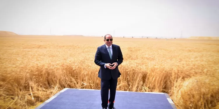 Le Nouveau Delta stratégique 1 - Le Progrès Egyptien