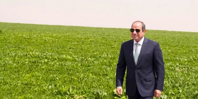 Le Nouveau Delta redessine le Territoire 2 - Le Progrès Egyptien Le Nouveau Delta redessine le Territoire 1 - Le Progrès Egyptien