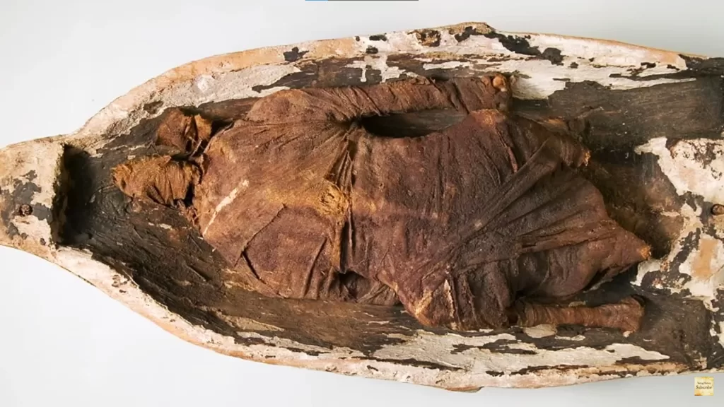 Le pharaon Toutânkhamon adorait manger du canard ! 6 - Le Progrès Egyptien Le pharaon Toutânkhamon adorait manger du canard ! 5 - Le Progrès Egyptien