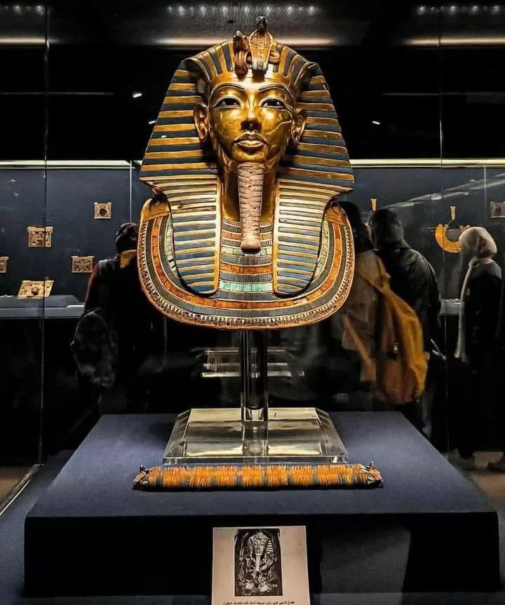 Le pharaon Toutânkhamon adorait manger du canard ! 8 - Le Progrès Egyptien Le pharaon Toutânkhamon adorait manger du canard ! 7 - Le Progrès Egyptien