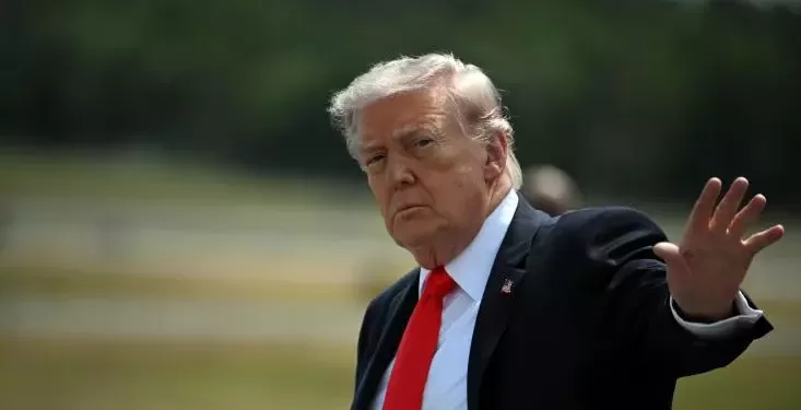 Les Etats-Unis à six mois d'élections de mi-mandat cruciales pour Trump 1 - Le Progrès Egyptien