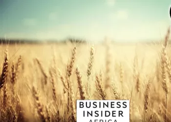 Business Insider Afrique loue les efforts du gouvernement pour inciter les agriculteurs à augmenter les surfaces cultivées en blé 3 - Le Progrès Egyptien Business Insider Afrique loue les efforts du gouvernement pour inciter les agriculteurs à augmenter les surfaces cultivées en blé