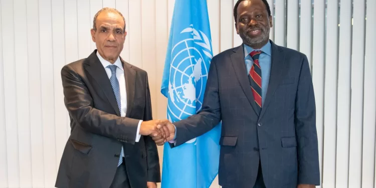IA et Climat : Badr Abdelatty scelle un partenariat stratégique avec l'Université des Nations Unies à Tokyo 1 - Le Progrès Egyptien