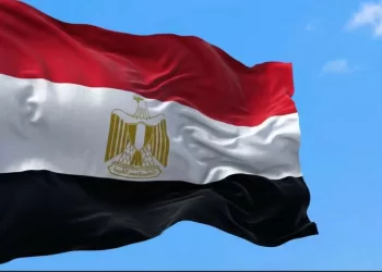 Egypte: une vaste opération contre des foyers criminels dans le sud du pays 4 - Le Progrès Egyptien Egypte: une vaste opération contre des foyers criminels dans le sud du pays