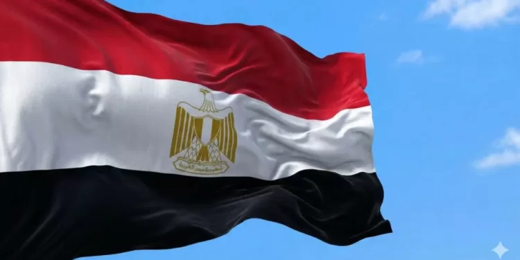 L’Égypte salue la nomination de Nabil Fahmy au poste de Secrétaire général de la Ligue arabe 1 - Le Progrès Egyptien