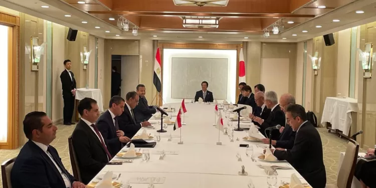 Le ministre des Affaires étrangères rencontre le Conseil d'affaires égypto-japonais 1 - Le Progrès Egyptien
