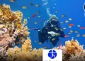 ONT:L’Égypte parmi les 10 destinations touristiques les plus performantes au monde