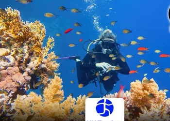 ONT:L’Égypte parmi les 10 destinations touristiques les plus performantes au monde