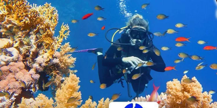 ONT:L'Égypte parmi les 10 destinations touristiques les plus performantes au monde 1 - Le Progrès Egyptien