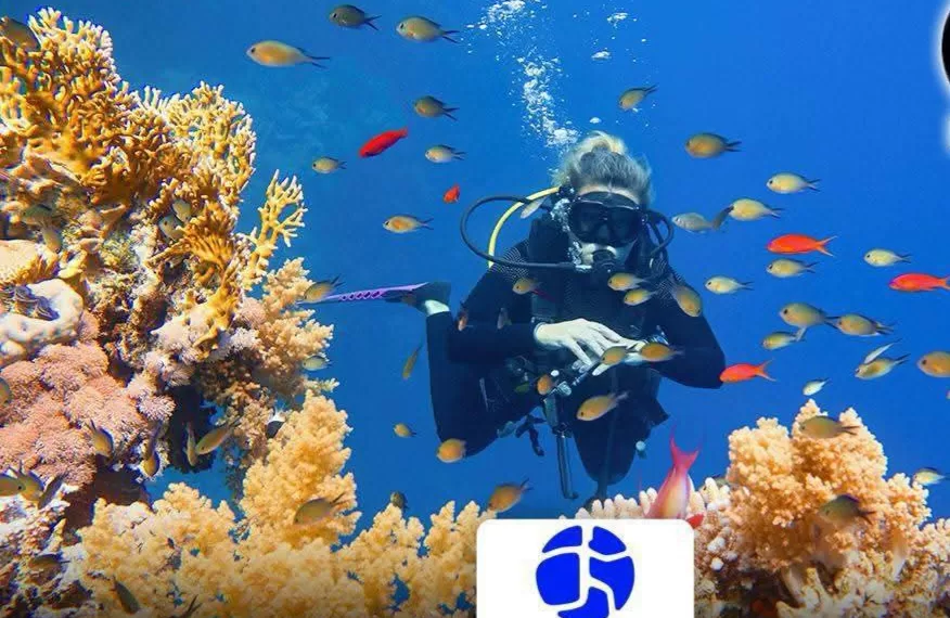 Le Progrès Egyptien 54 - Le Progrès Egyptien