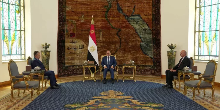 Le Président reçoit le candidat au poste du SG de la Ligue Arabe 1 - Le Progrès Egyptien