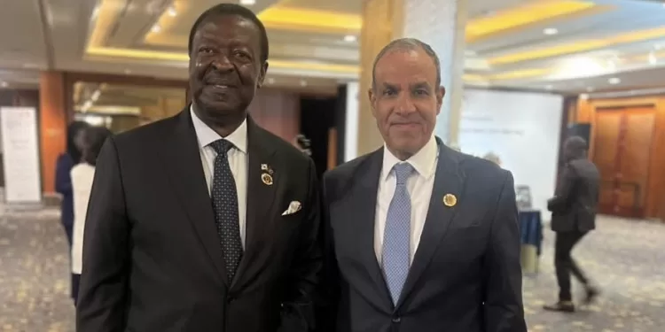 L’Égypte et le Kenya renforcent leur coopération stratégique 1 - Le Progrès Egyptien