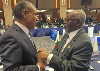 L’Égypte et le Cameroun renforcent leur coordination sur les dossiers africains 3 - Le Progrès Egyptien L’Égypte et le Cameroun renforcent leur coordination sur les dossiers africains