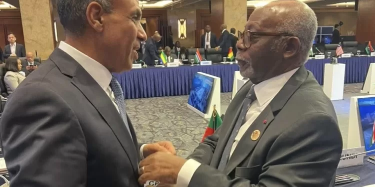 L’Égypte et le Cameroun renforcent leur coordination sur les dossiers africains 2 - Le Progrès Egyptien L’Égypte et le Cameroun renforcent leur coordination sur les dossiers africains 1 - Le Progrès Egyptien