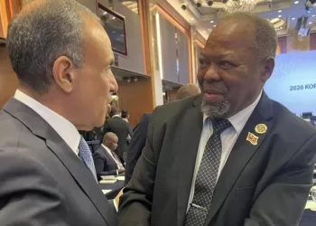 L’Égypte et l’Eswatini approfondissent leur coopération pour le développement