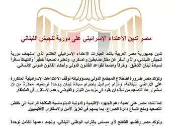 L’Égypte condamne une attaque israélienne contre l’armée libanaise 3 - Le Progrès Egyptien L’Égypte condamne une attaque israélienne contre l’armée libanaise