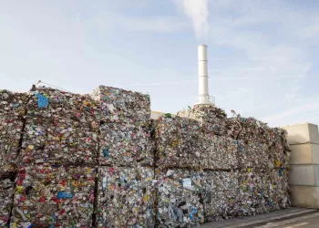 Chabramant: De la plus grande décharge à un complexe vert 3 - Le Progrès Egyptien Chabramant: De la plus grande décharge à un complexe vert