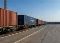 Le cuir du Robeiki prend le rail vers l’export