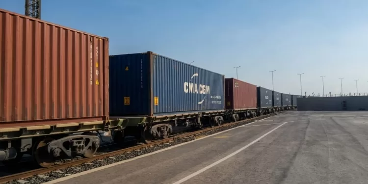 Le cuir du Robeiki prend le rail vers l’export 2 - Le Progrès Egyptien Le cuir du Robeiki prend le rail vers l’export 1 - Le Progrès Egyptien