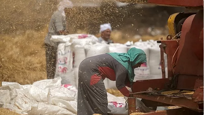 La BERD abaisse ses prévisions de croissance 2 - Le Progrès Egyptien La BERD abaisse ses prévisions de croissance 1 - Le Progrès Egyptien