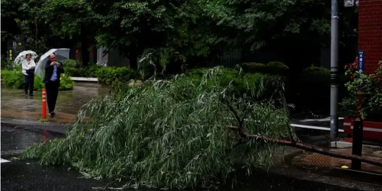 La tempête Jangmi perturbe transports et industries au Japon 2 - Le Progrès Egyptien La tempête Jangmi perturbe transports et industries au Japon 1 - Le Progrès Egyptien