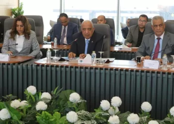 L’Égypte renforce l’approvisionnement énergétique des projets industriels stratégiques 5 - Le Progrès Egyptien L’Égypte renforce l’approvisionnement énergétique des projets industriels stratégiques