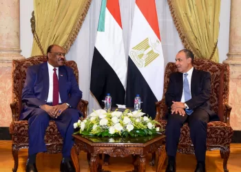 L’Egypte réaffirme son soutien à l’unité et à la souveraineté du Soudan 3 - Le Progrès Egyptien L’Egypte réaffirme son soutien à l’unité et à la souveraineté du Soudan