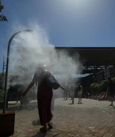 L’Europe étouffe sous une chaleur record 1 - Le Progrès Egyptien