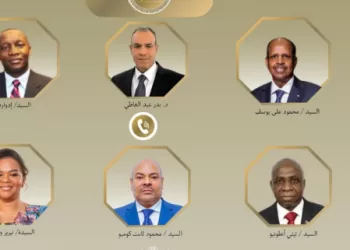 L’Égypte intensifie la coordination africaine pour renforcer la paix