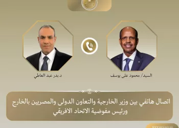 L’Égypte et l’Union africaine unissent leurs efforts en faveur de la stabilité et du développement en Afrique