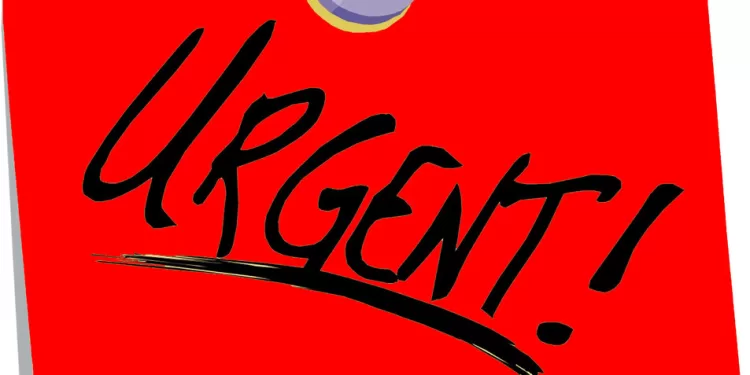 Urgent-Le Pakistan annonce un accord de paix entre Washington et Téhéran 2 - Le Progrès Egyptien Urgent-Le Pakistan annonce un accord de paix entre Washington et Téhéran 1 - Le Progrès Egyptien