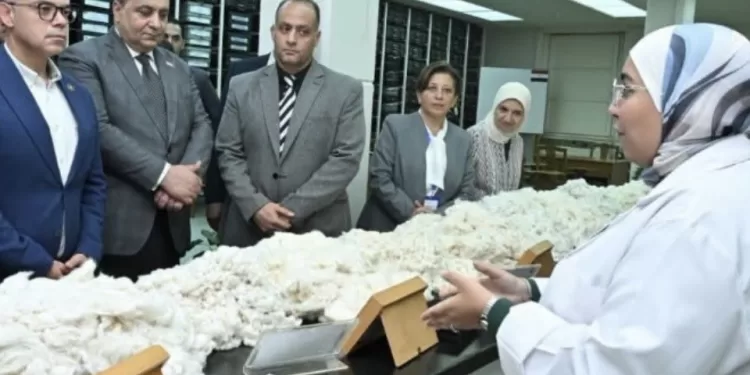 Soutien au système cotonnier égyptien 1 - Le Progrès Egyptien