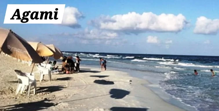 L’Egypte réinvente ses vacances d’été 36 - Le Progrès Egyptien L’Egypte réinvente ses vacances d’été 35 - Le Progrès Egyptien