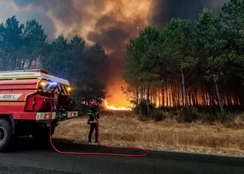France: Les odeurs des fumées des incendies dans le Sud-Ouest se propagent sur une grande partie du territoire 4 - Le Progrès Egyptien France: Les odeurs des fumées des incendies dans le Sud-Ouest se propagent sur une grande partie du territoire