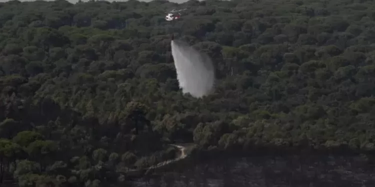 Incendies en Espagne : sans reprises de feux 1 - Le Progrès Egyptien