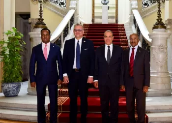 L'Égypte renforce les efforts pour la paix dans la Corne de l'Afrique 4 - Le Progrès Egyptien L’Égypte renforce les efforts pour la paix dans la Corne de l’Afrique